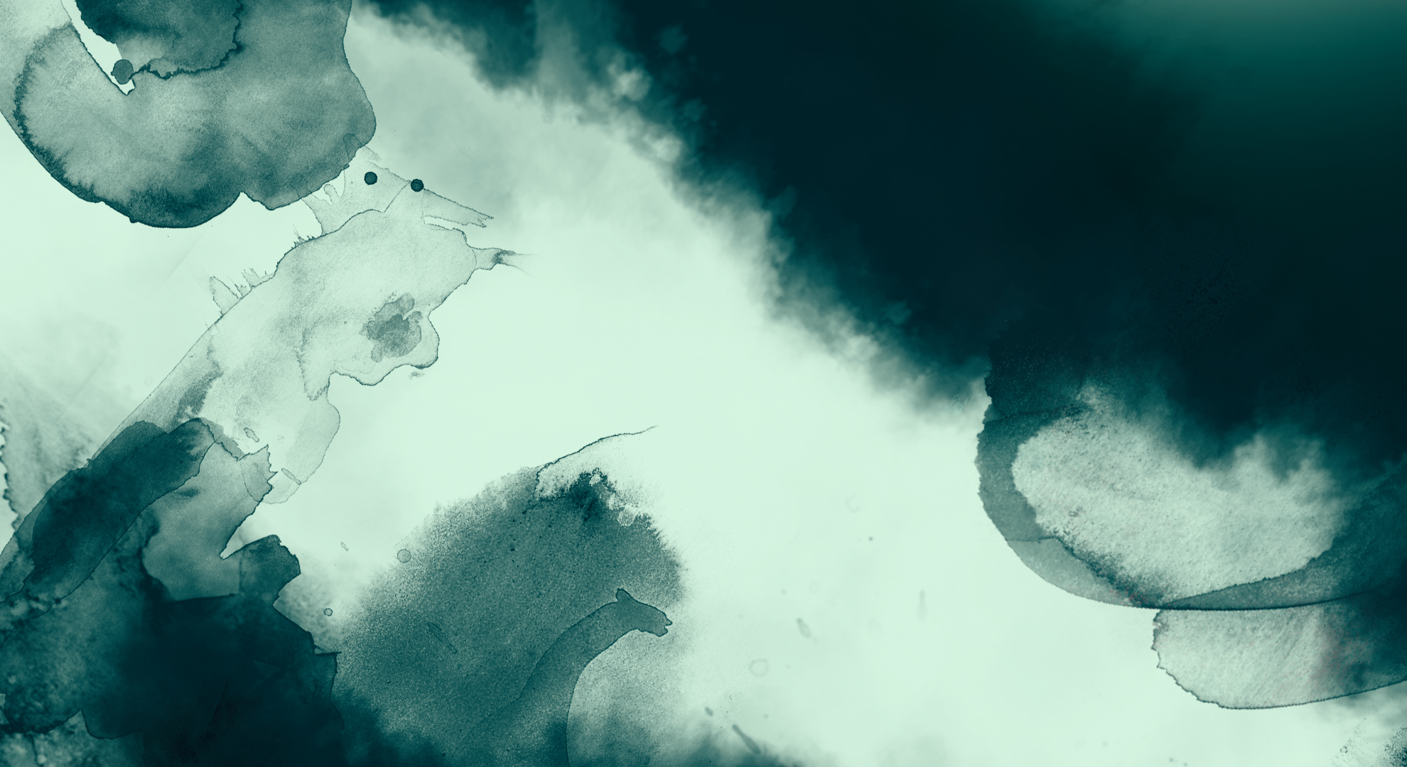 05_bg.jpg